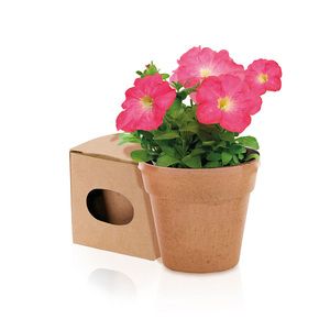 Maceta de flores Advert