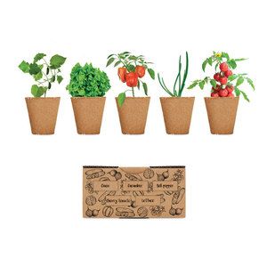 Kit de cultivo de verduras Salad