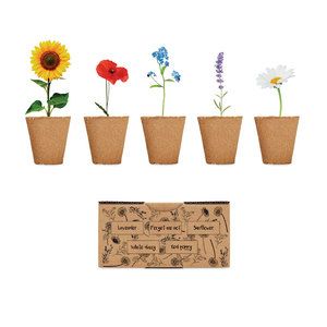 Kit de cultivo de flores Flowers