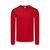 Camiseta Adulto Color Iconic Long Sleeve T - Rojo