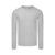 Camiseta Adulto Color Iconic Long Sleeve T - Gris
