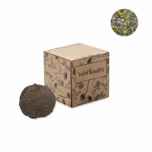 Kit de cultivo de semillas Bombi