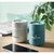 Vaso corporativo 330 ml Qeram