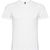 Camiseta de manga corta en pico 155 g/m² Samoyedo - Blanco