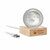 Bola de cristal con luz LED 100 lm GLOBE LIGHT