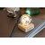 Bola de cristal con luz LED 100 lm GLOBE LIGHT