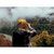 Gorro unisex personalizable Beanix