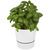 Maceta para cocina "Herbs" - Blanco