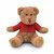 Osito de peluche con camiseta JOHNNY T - Rojo