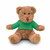 Osito de peluche con camiseta JOHNNY T - Verde