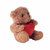 Osito de peluche con corazón Cuddle