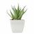 Mini planta artificial con forma de aloe vera Artiloe
