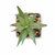 Mini planta artificial con forma de aloe vera Artiloe