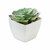 Mini planta artificial suculenta echeveria Artieche - Blanco