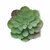 Mini planta artificial suculenta echeveria Artieche