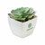 Mini planta artificial suculenta echeveria Artieche