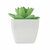 Mini planta artificial graptopetalum Artigrap