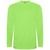 Camiseta de manga larga de 160 g/m² Extreme - Verde Oasis